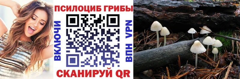 Псилоцибиновые грибы Magic Shrooms  Ак-Довурак 